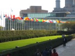 NYC - UN Flags