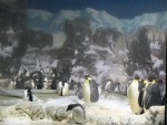 Penguin Exhibit